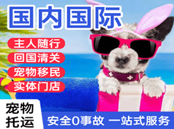 甘孜康定空运公司国际宠物托运 【国